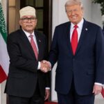 trum ciro